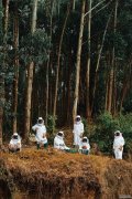 “女性养蜂人” 项目进驻卢旺达  藉助养